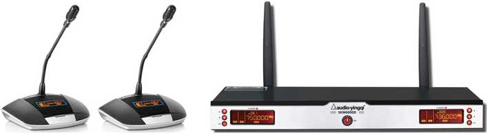 一拖二U段紅外對(duì)頻會(huì)議話筒（一拖二鵝頸）